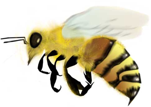 image of flying bee